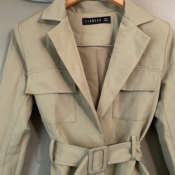 Steinway Mini Dress Green Lioness NWOT - Picture 4 of 15